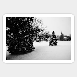 Snow Fall in Black and White Sticker
